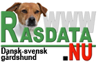 Dansk Svensk Grdshund